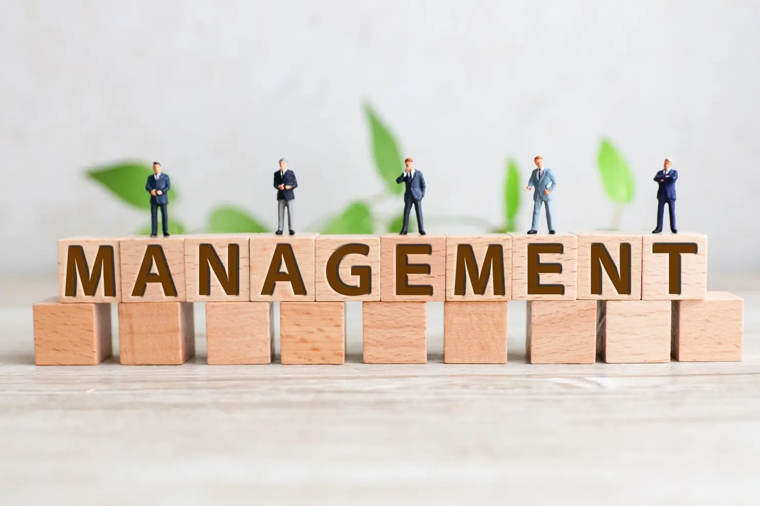 人材育成におけるマネジメントスキルの伸ばし方｜必要な能力と研修内容を解説